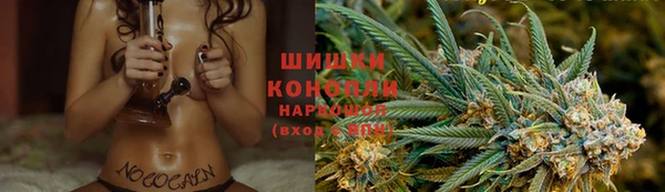 шишки Армянск