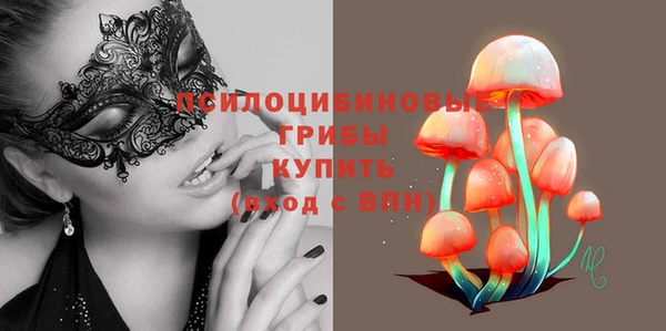 спиды Арсеньев