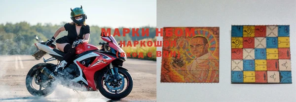 шишки Армянск