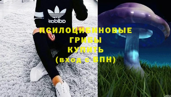 спиды Арсеньев
