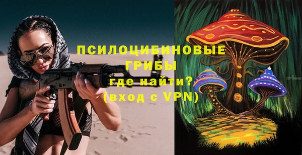 шишки Армянск