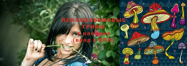 спиды Арсеньев