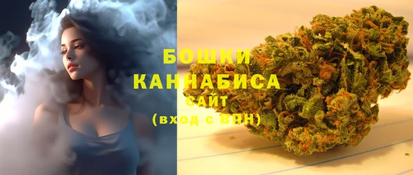 шишки Армянск