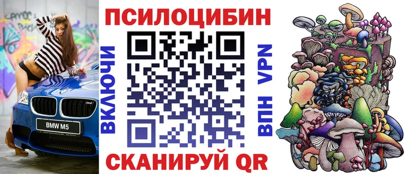 закладка Нижняя Тура Галлюциногенные грибы Psilocybe